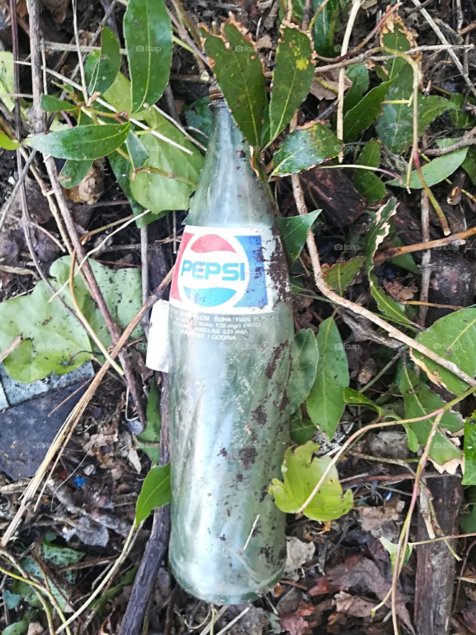 old Pepsi bottle im nature