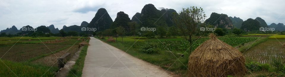 village road in beautiful green mountains