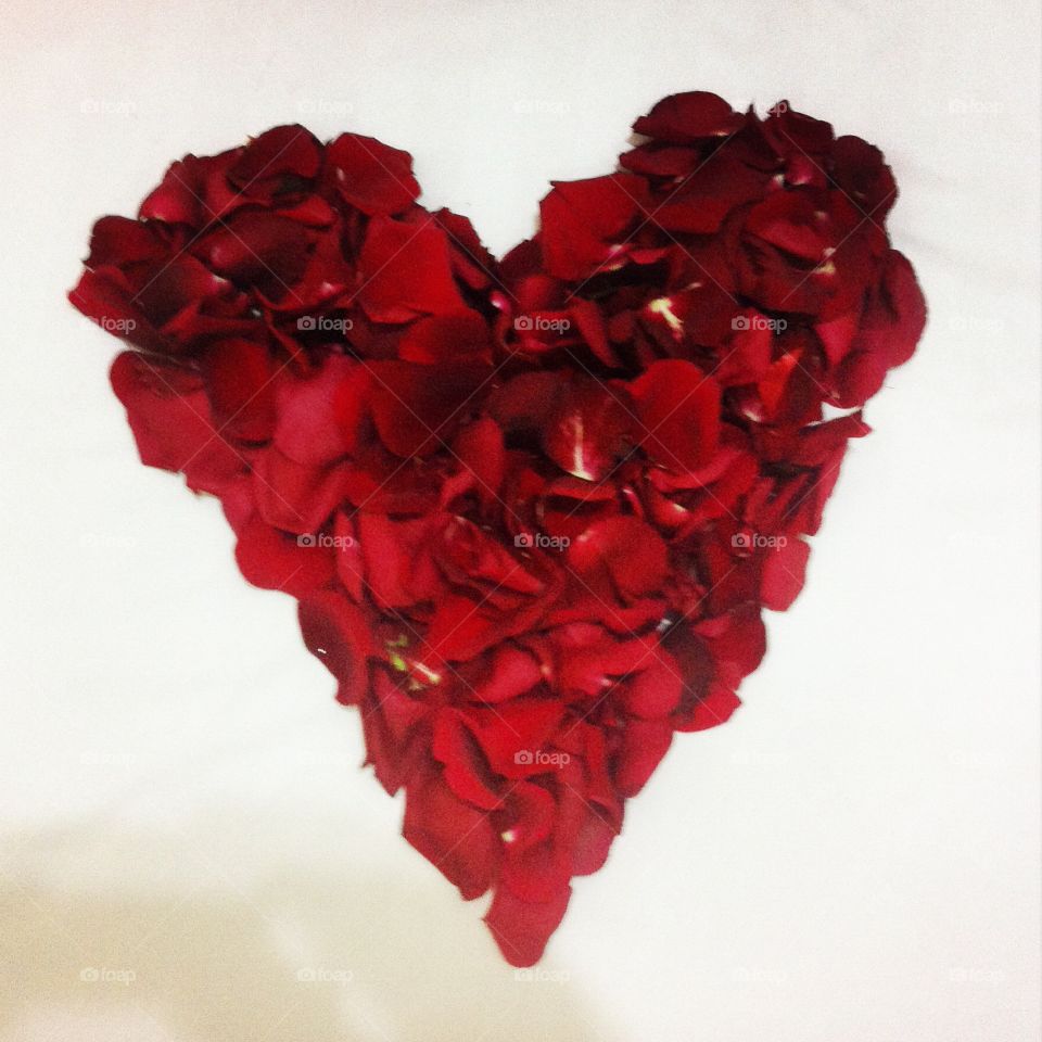 Rose Petal Heart . Rose Petal Heart 