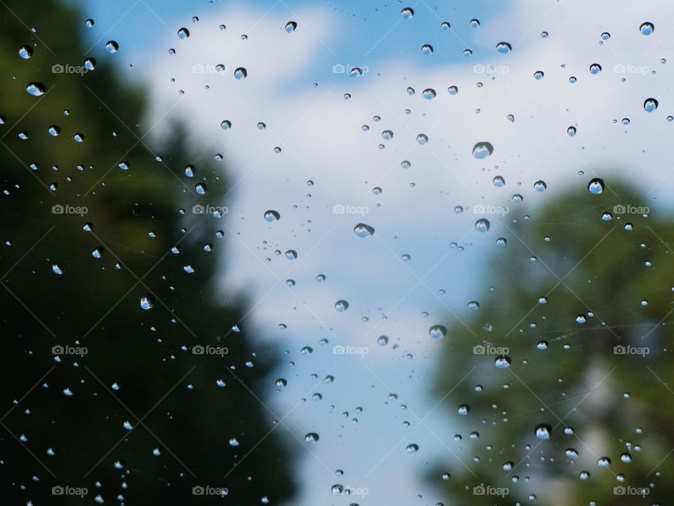 Rain water droplets