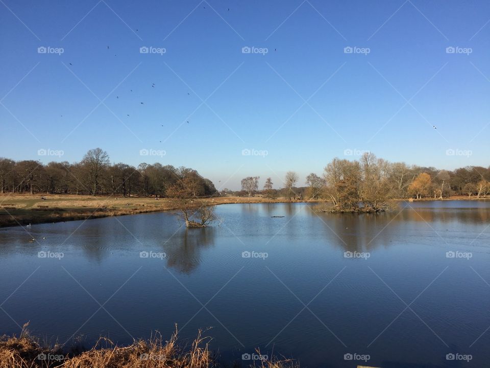 Richmond park - London