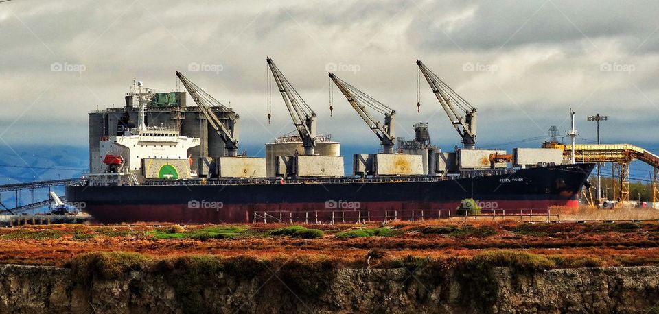 Cargo ship loaded by cranes in port