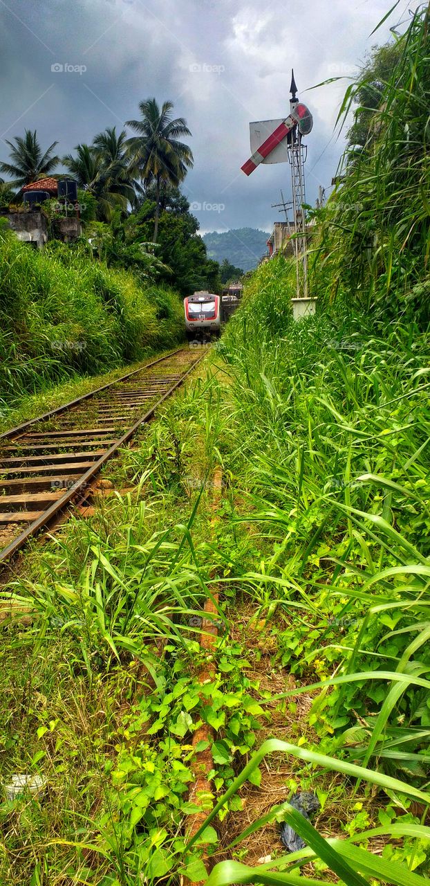 natural view of railway with train