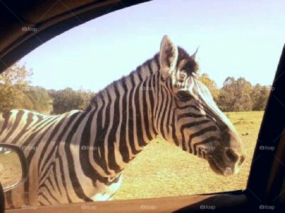 up close and personal (: