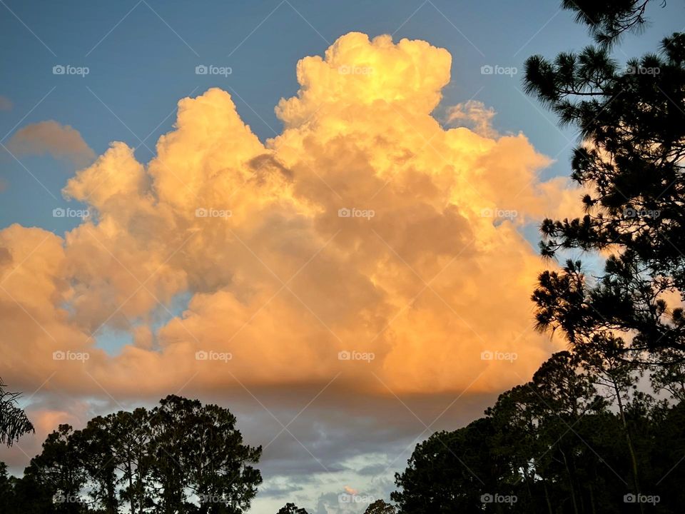 Billowing orange cumulus cloud.