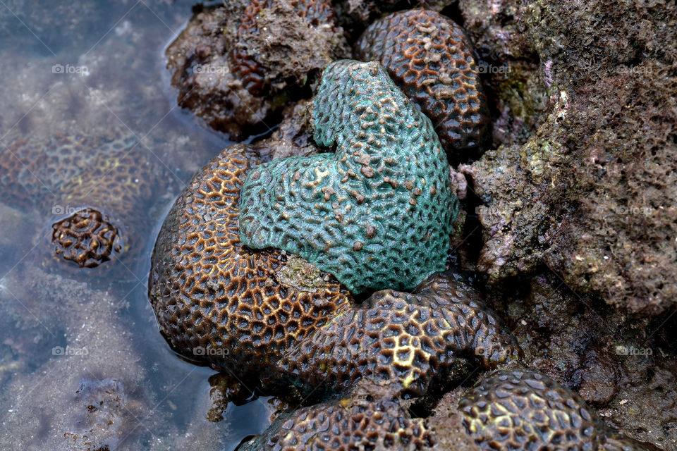 The rock on the beach in Anyer, Serang Baten, Indonesia.