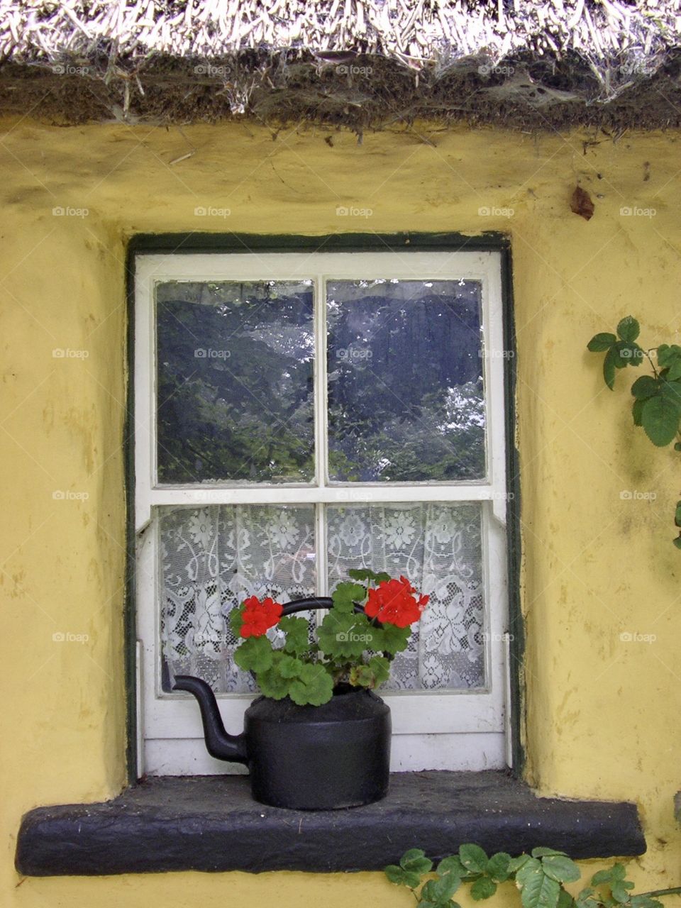 Typical Irish window 