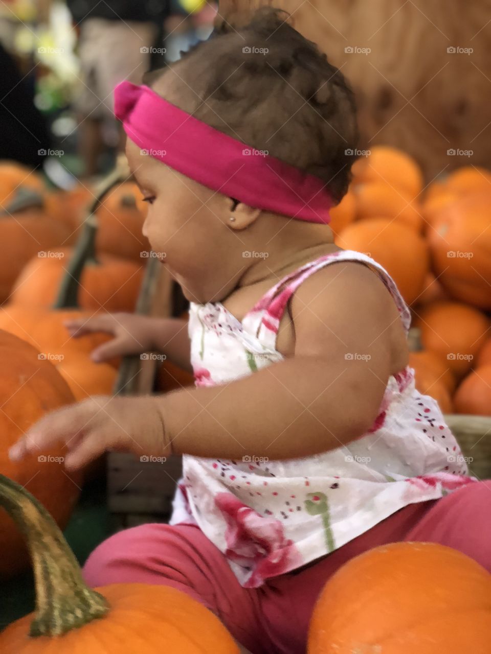 Pumpkins 