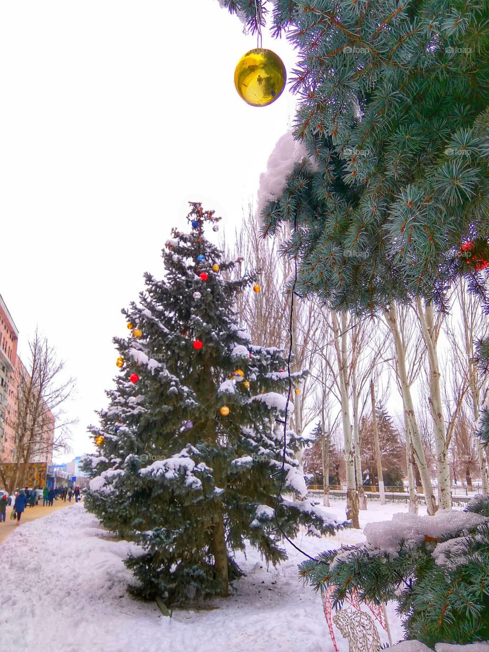 Christmas in the city