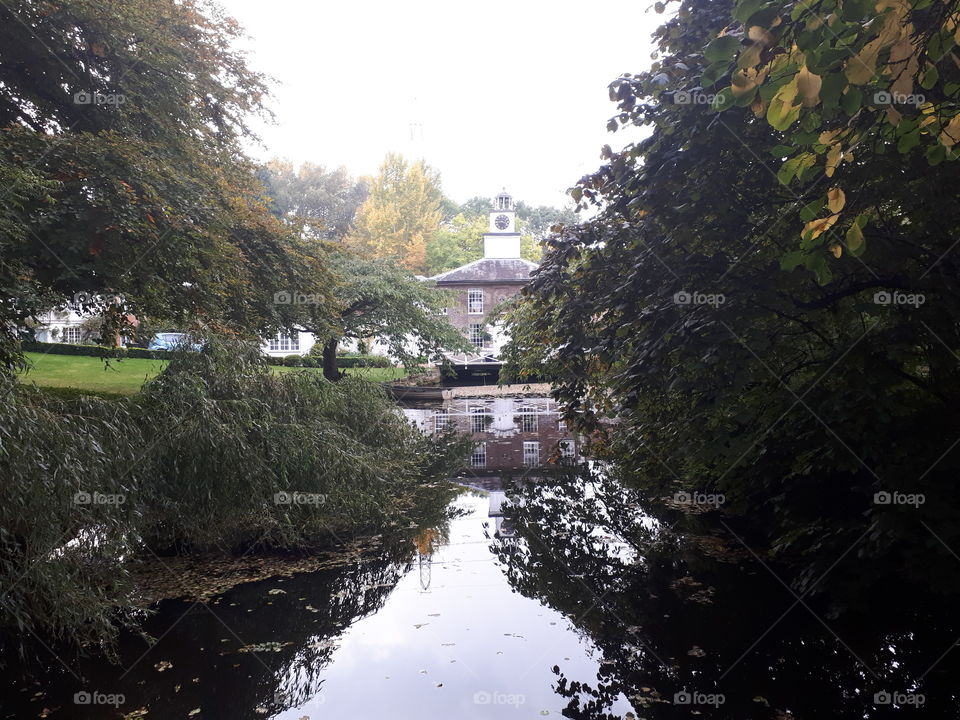 Water, Tree, River, No Person, Landscape