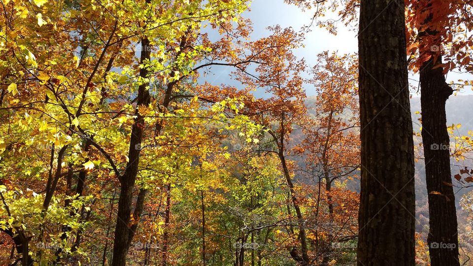 Rainbow Falls Trail