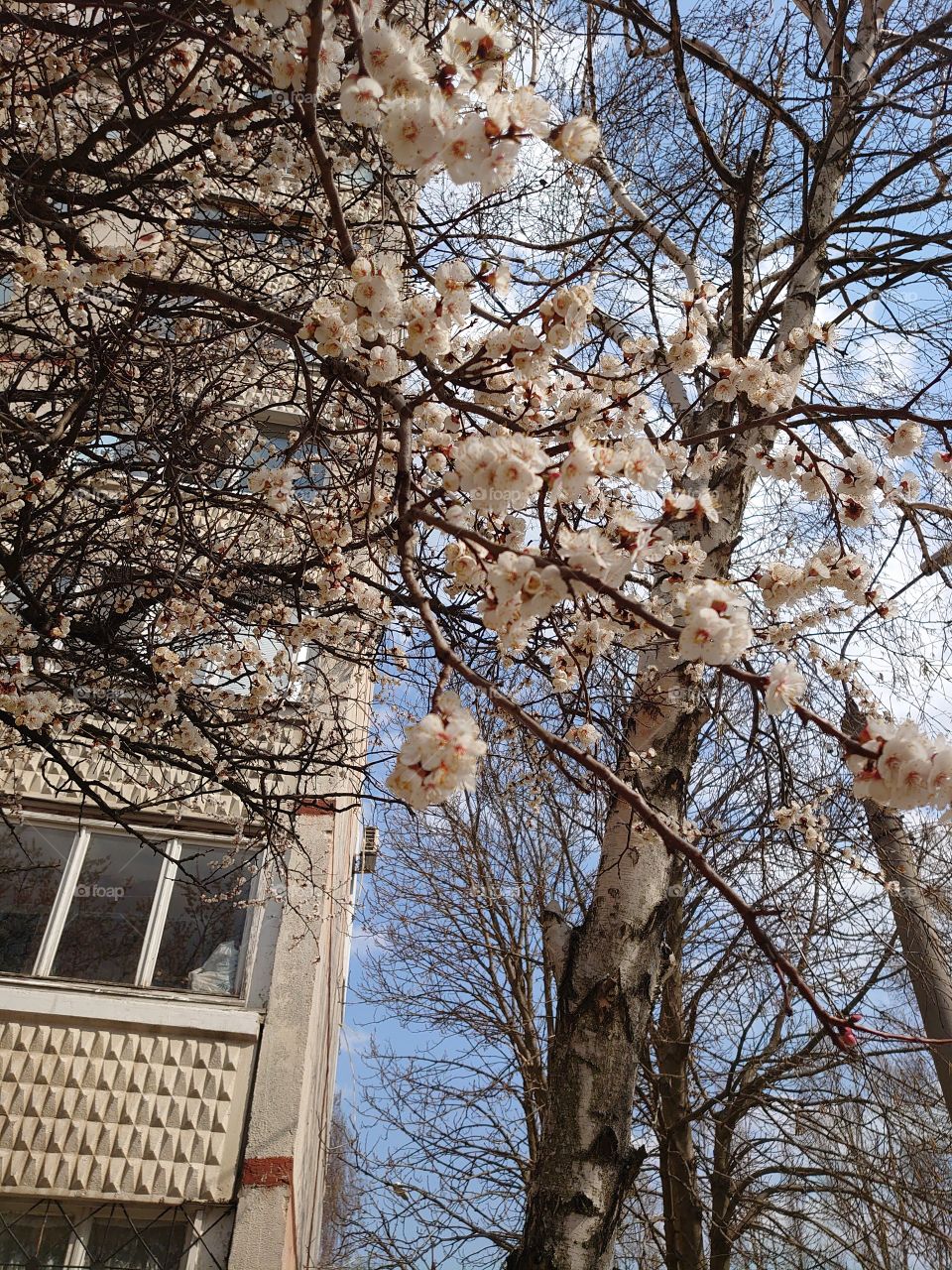 the beginning of something new, the beginning of spring