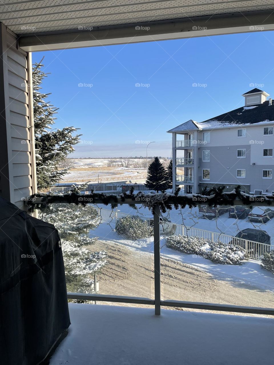 Winter slippery wonderland 