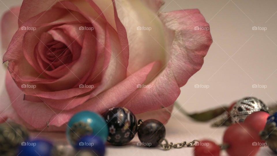 A pink rose and accessories 