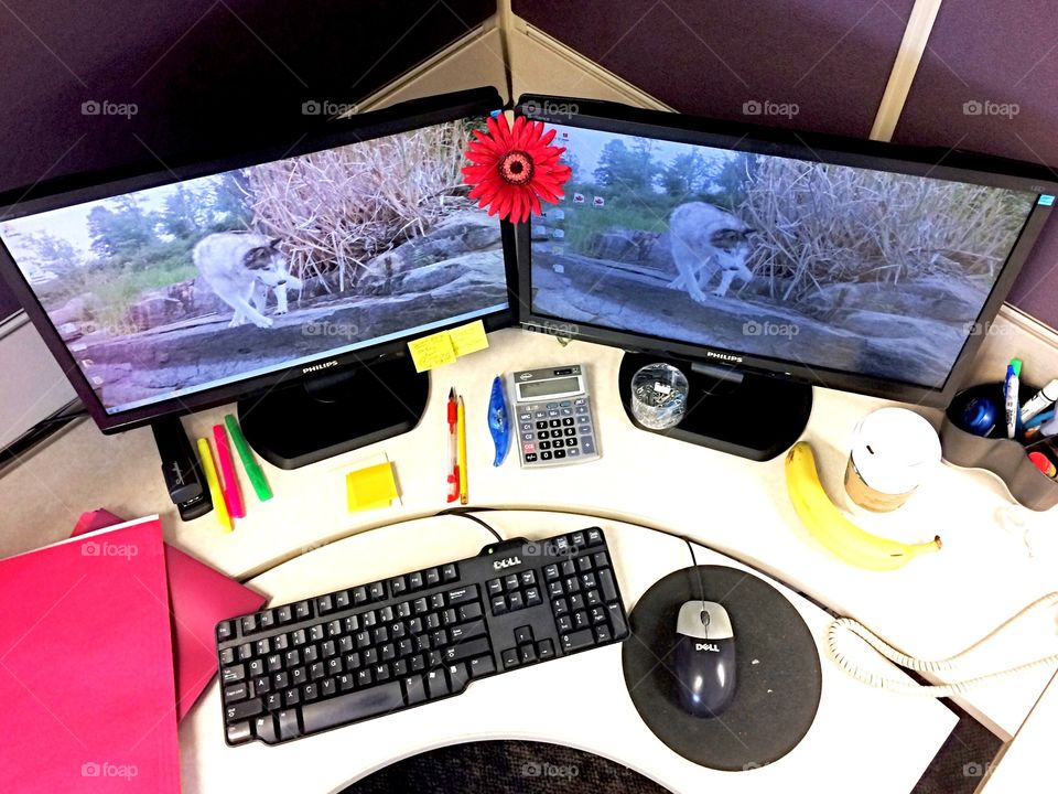 Working desk from above 