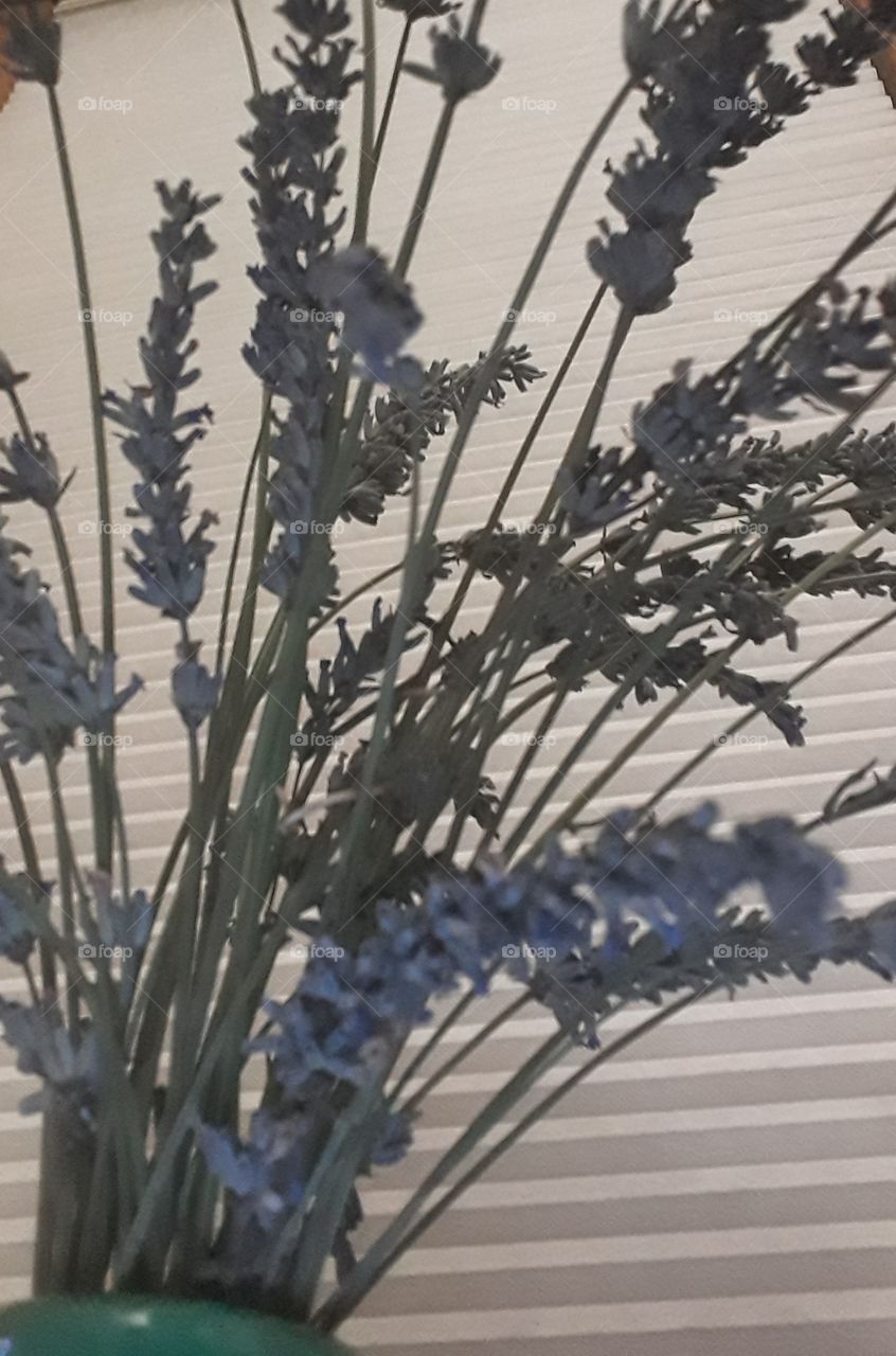 evening lavender bouquet