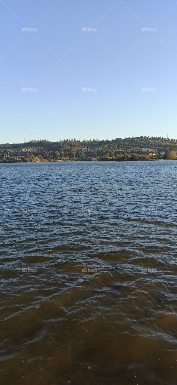 views of the Trasona swamp