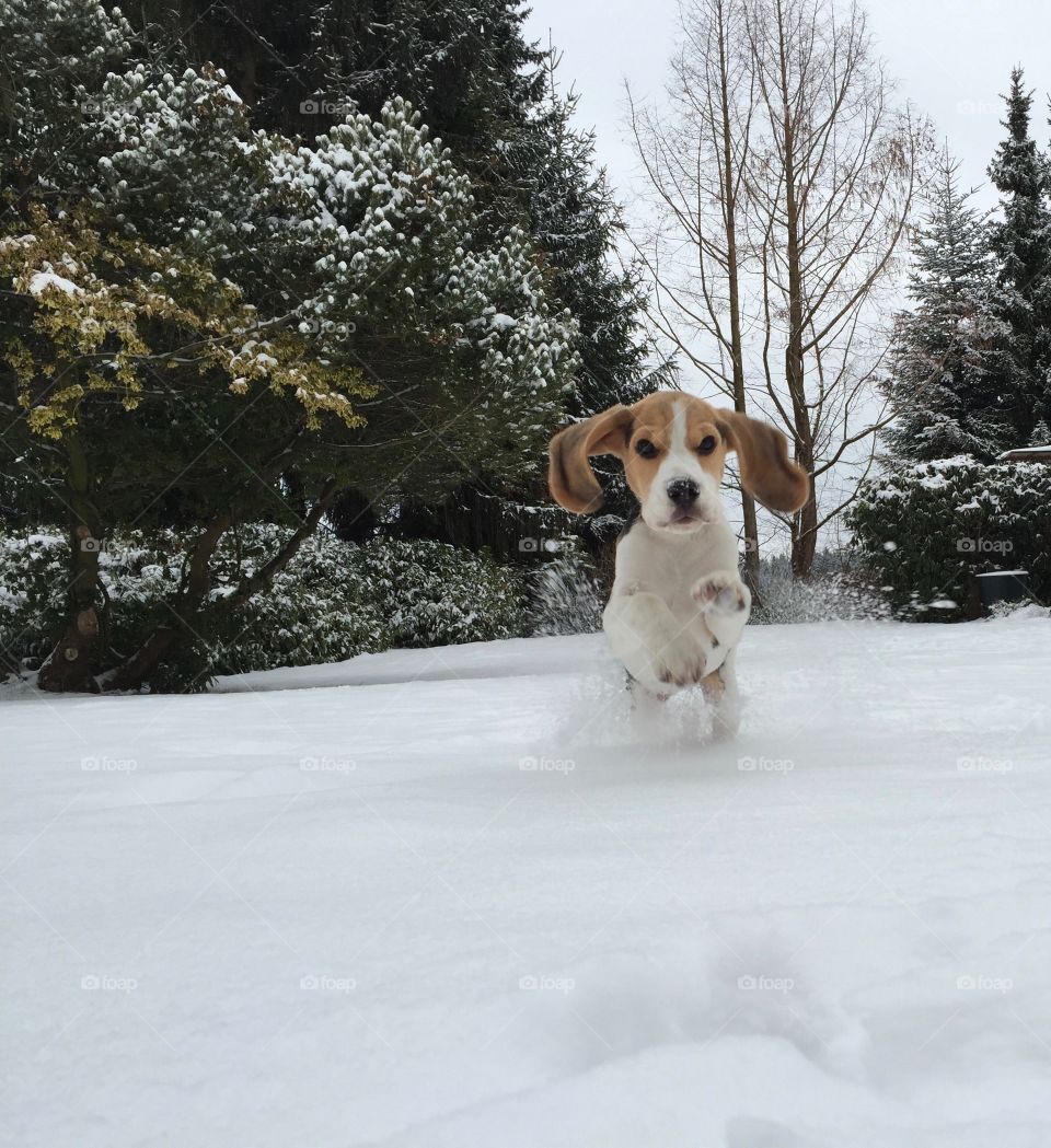 Fun in the snow ❄️