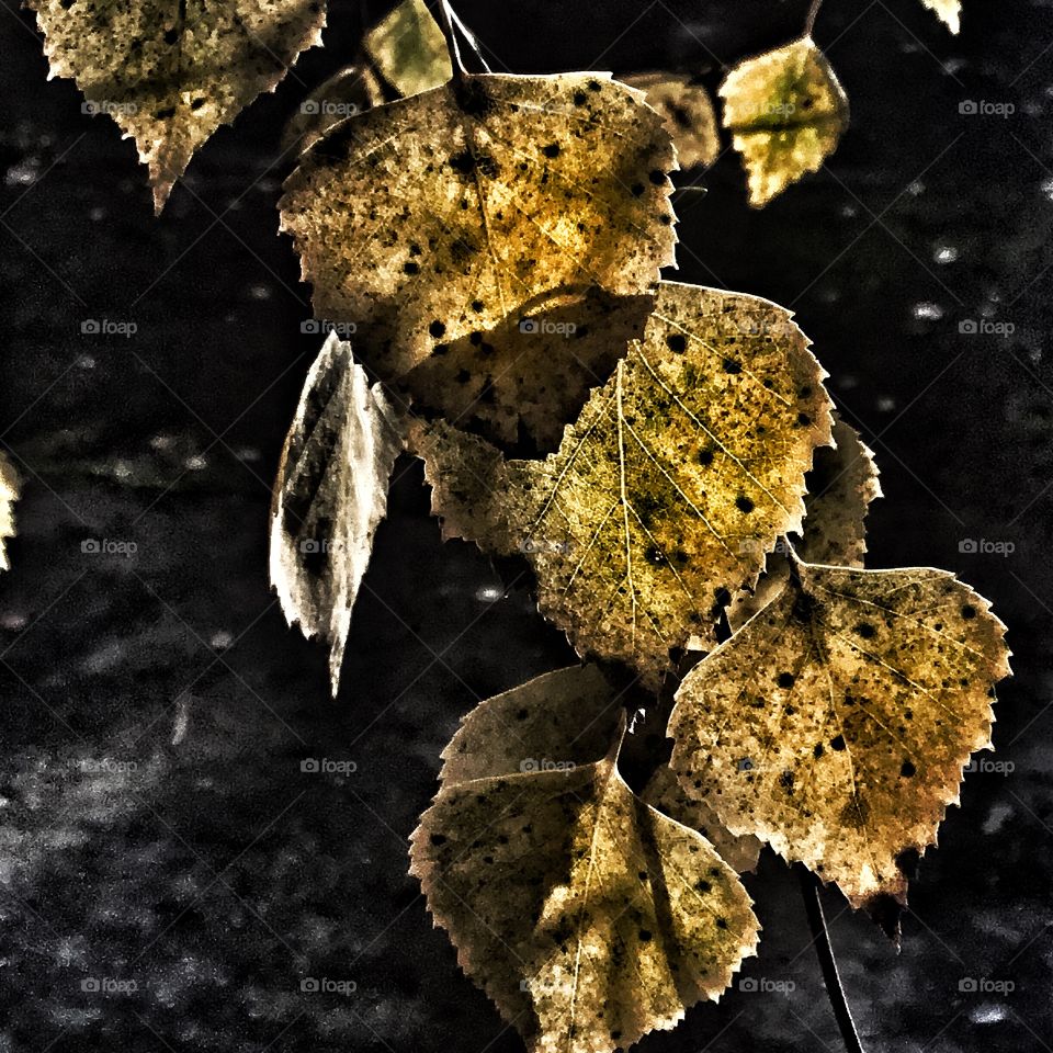 Light is playing with colors...