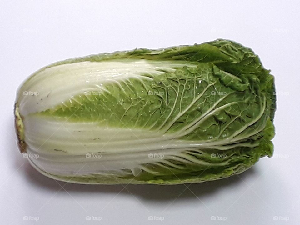 Cabbage