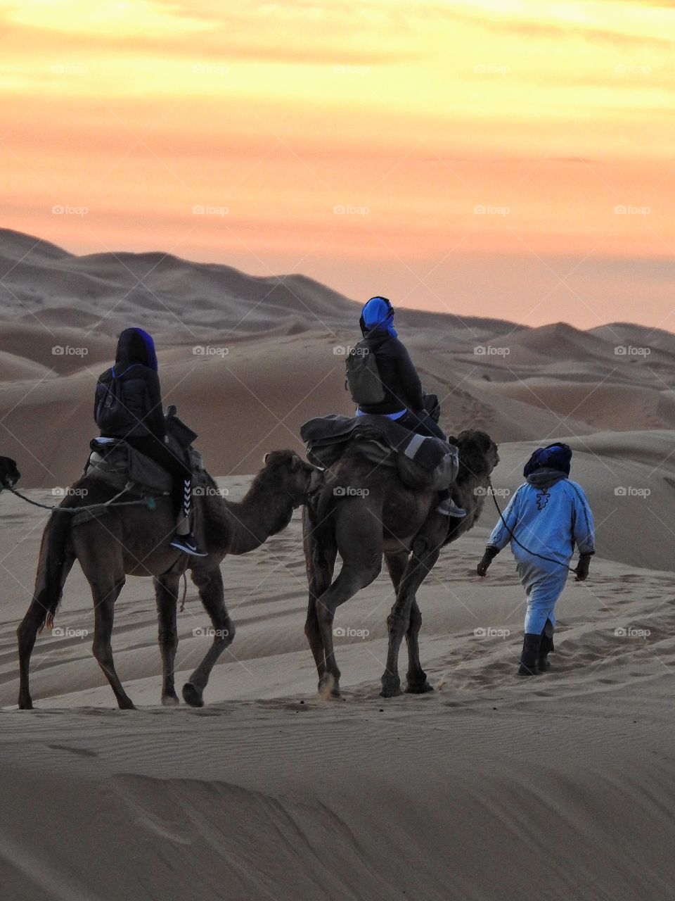 Merzouga desert