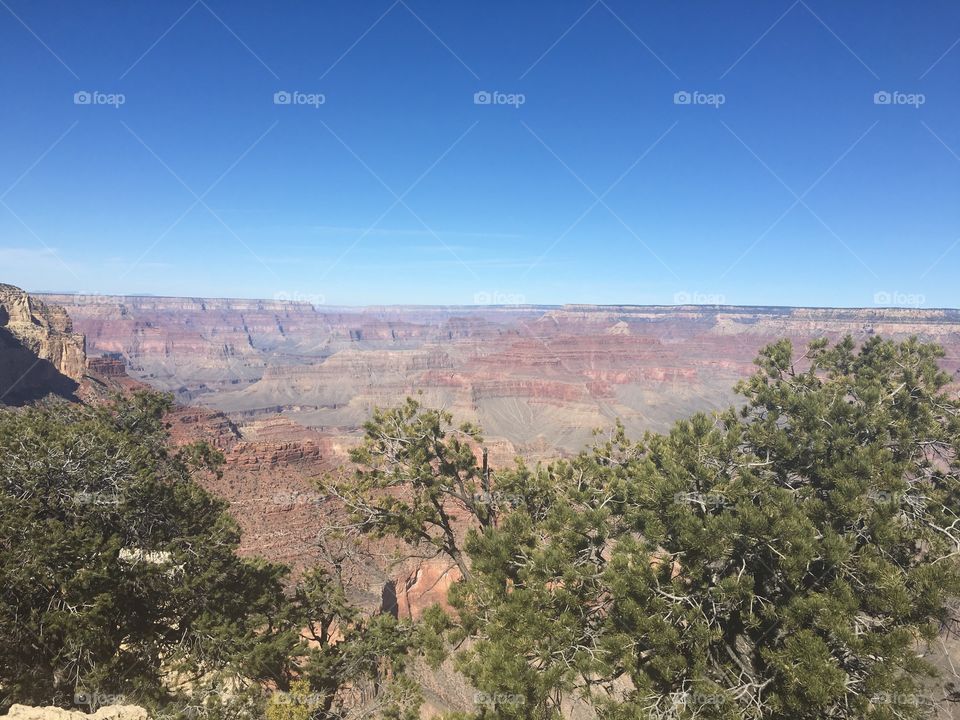 The great Grand Canyons 
