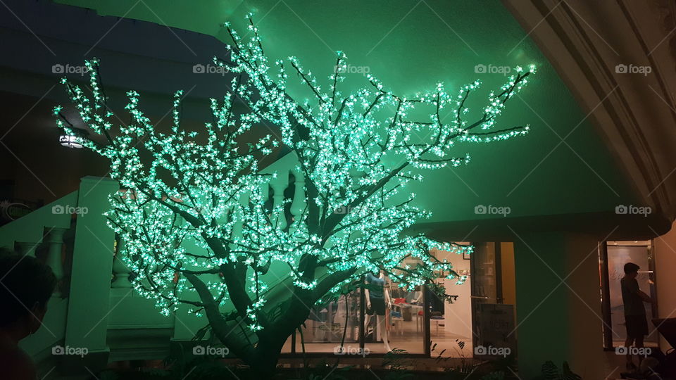 A lighted tree