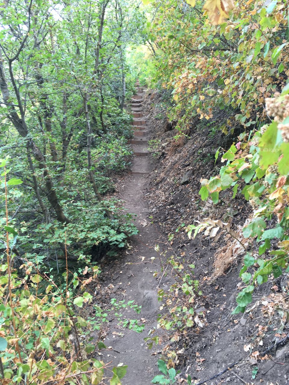 Hidden Oak Trail - Spanish Fork, UT