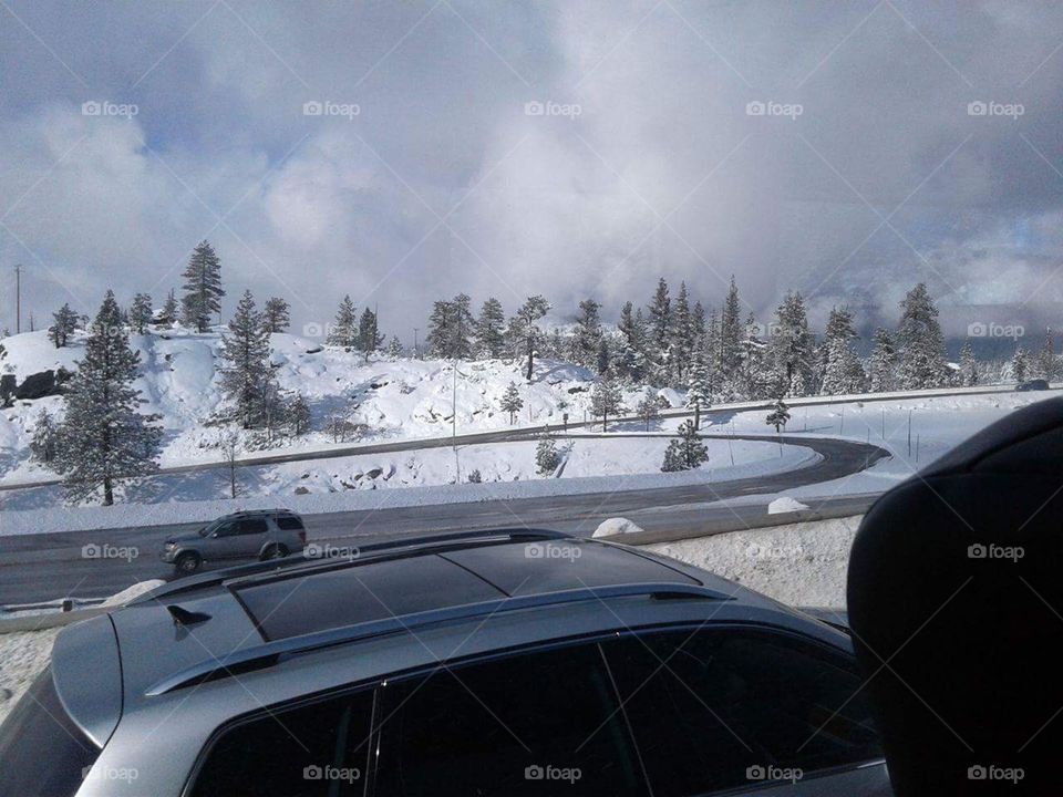 Snow, Winter, No Person, Vehicle, Frost