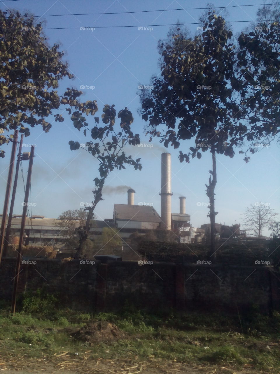 industry and environment