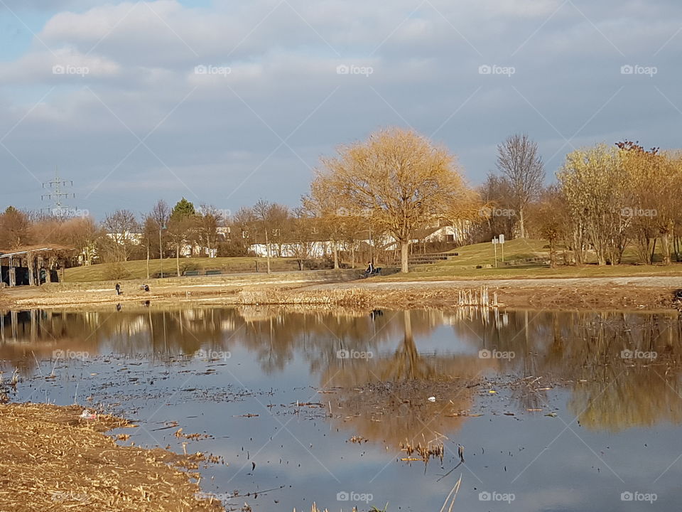 Frühling IN Februar