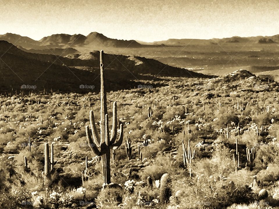 Peralta Trail, Superstition Mountains, Arizona