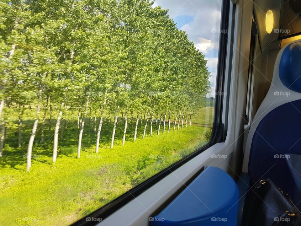 View from train window at summer