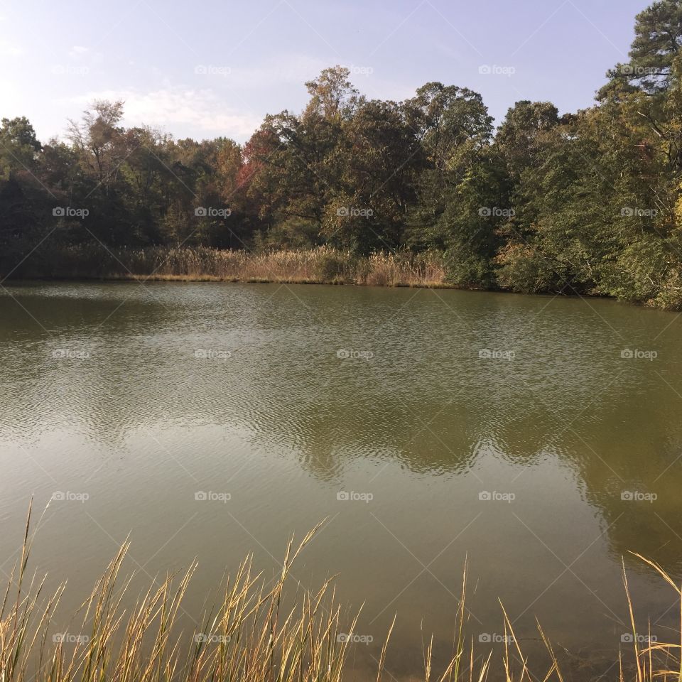 Lake, Landscape, Water, Reflection, River