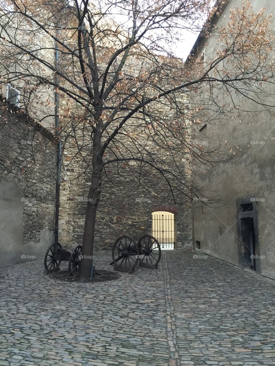 Prague Castle courtyard