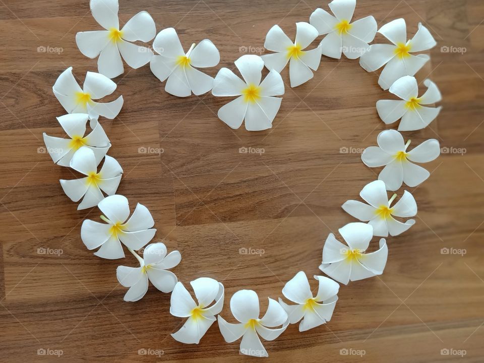 Heart flowers