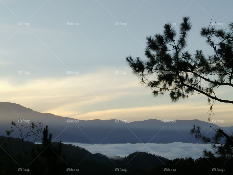 Sea of Clouds