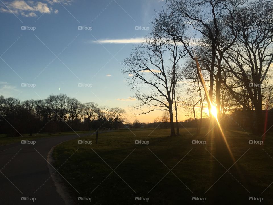 Sunset in the Park