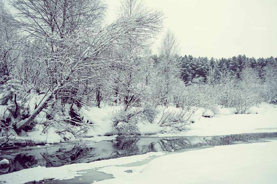 Scenic view in winter