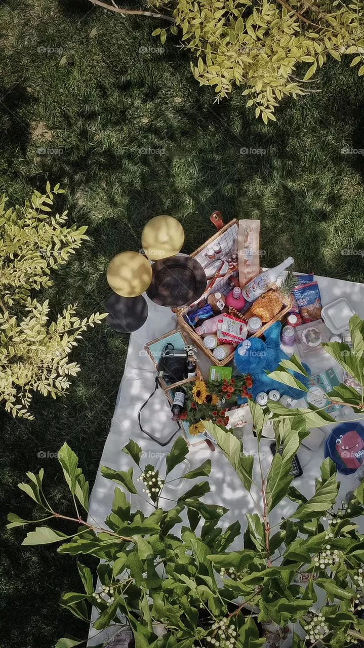 picnic