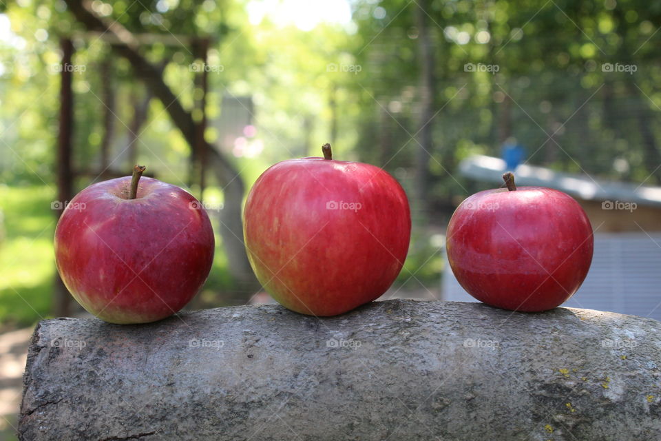 Красные яблоки