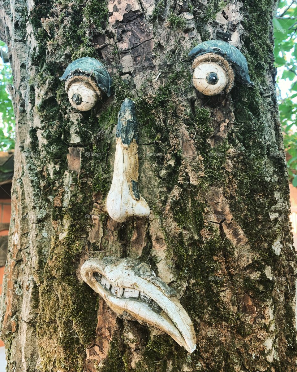 This tree is watching you 