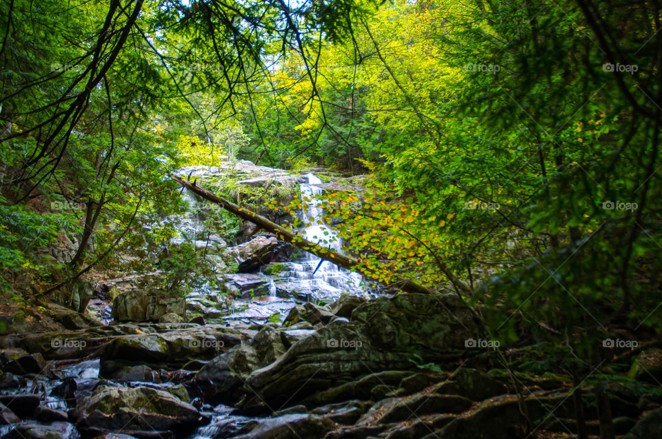 Shelving rock falls 