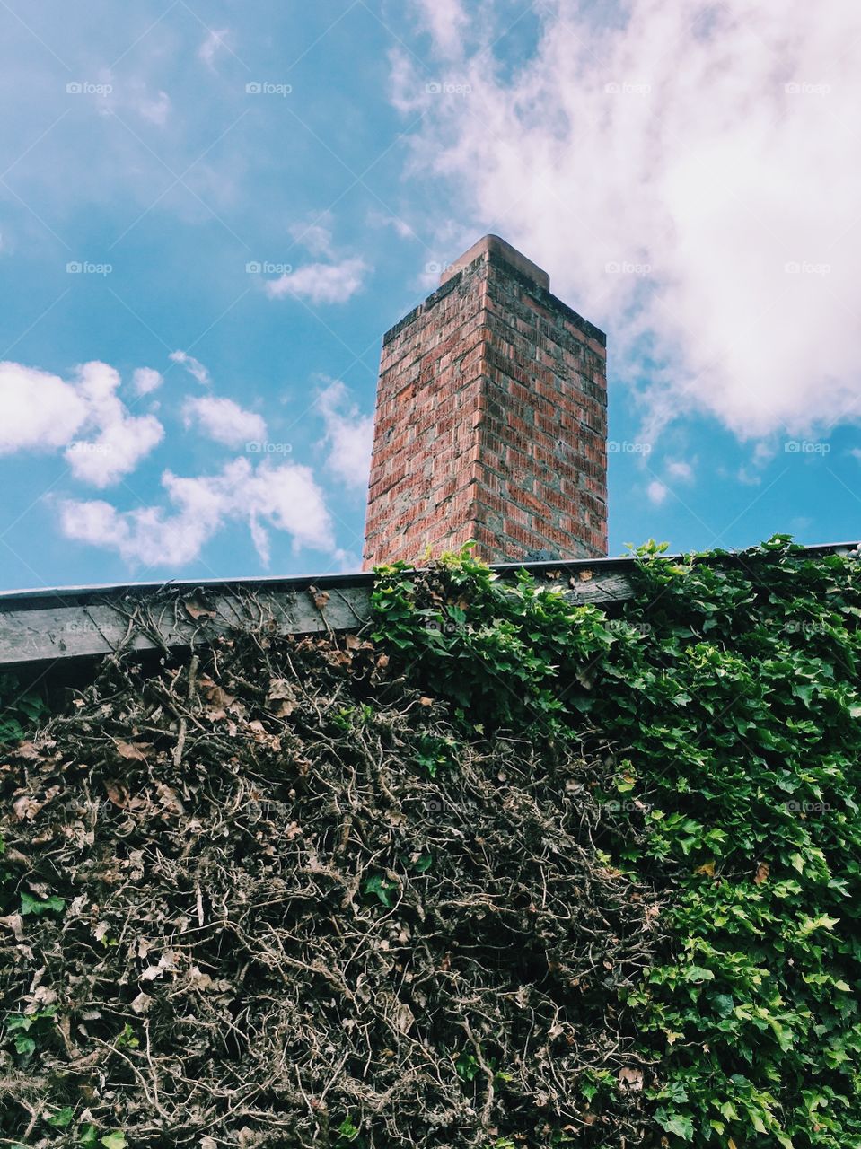 Old building with vines and chimney, blue sky