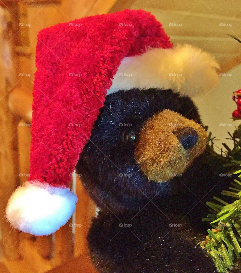 Stuffed Bear wearing Santa Hat