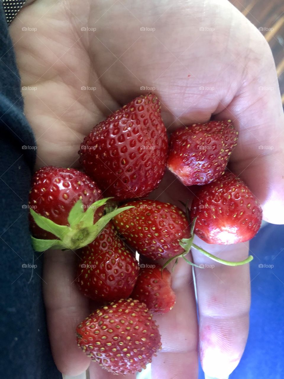 Sweet red homegrown strawberries 