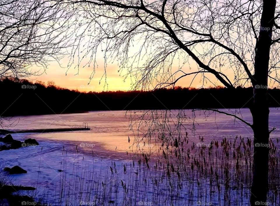 Purple sunset by the lake