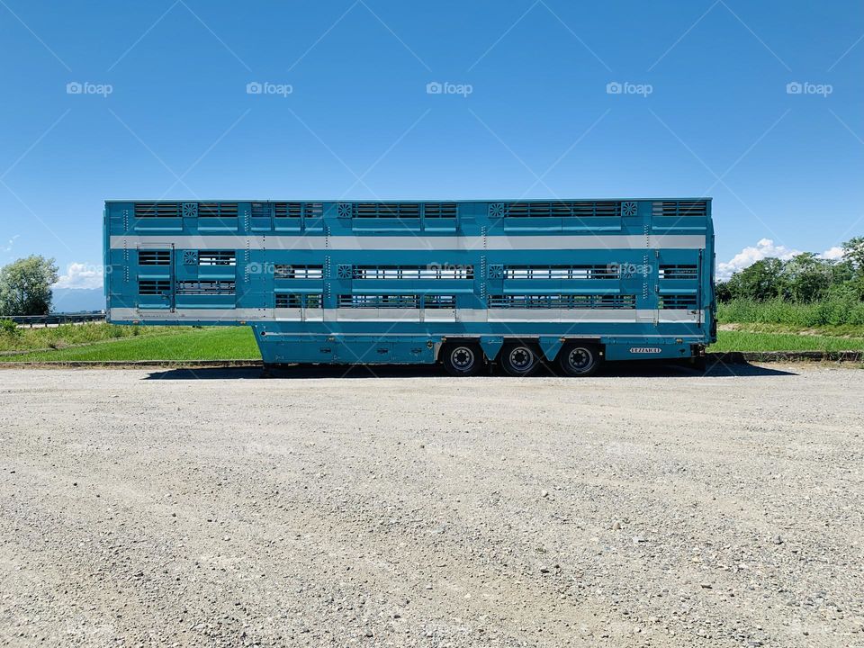trailer for the transport of animals stopped in an anonymous parking lot in the Po Valley