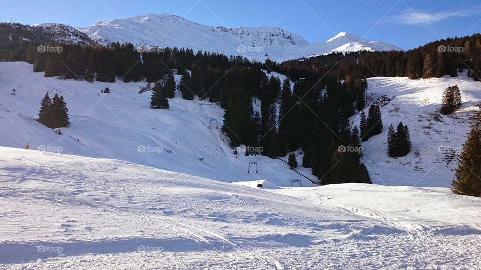 Swiss ski 