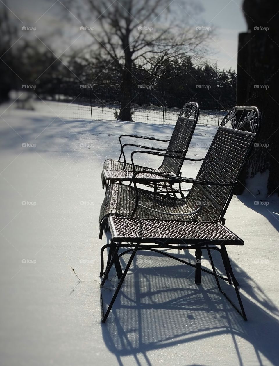 Winter Seat